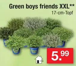 Zimmermann Green boys friends xxl Angebot