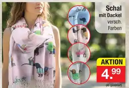 Zimmermann Schal mit dackel Angebot