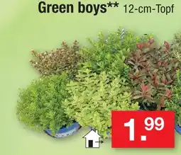 Zimmermann Green boys Angebot