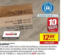toom Baumarkt Toom laminat michigan Angebot