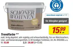 toom Baumarkt Schöner wohnen trendfarbe 1 l Angebot