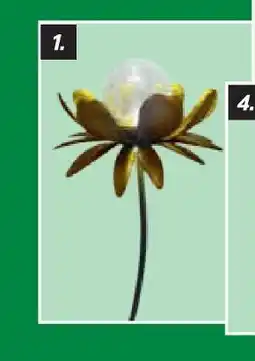 toom Baumarkt Solar-leuchte „blume Angebot