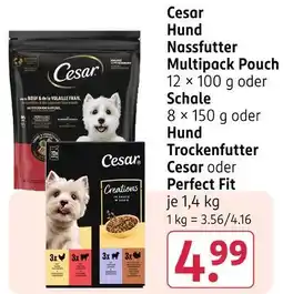 Rossmann Cesar hund nassfutter multipack pouch oder schale Angebot
