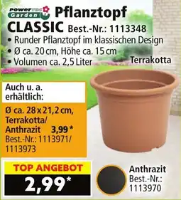 Norma Pflanztopf CLASSIC Angebot