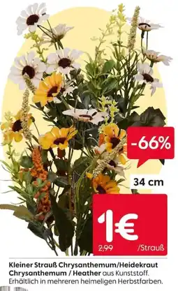 Rusta Kleiner Strauß Chrysanthemum/Heidekraut Angebot