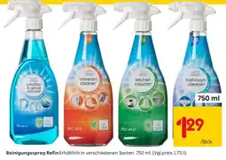 Rusta Reinigungsspray Refin Angebot