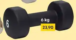 Rusta 6 kg Dumbbell Angebot