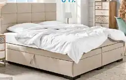 Trends Möbel Boxspringbett SANSIBAR POEL Angebot