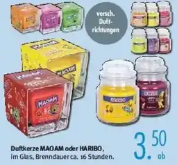 Trends Möbel Duftkerze MAOAM oder HARIBO Angebot