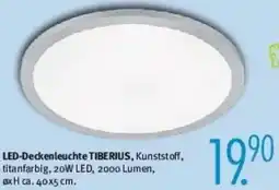Trends Möbel LED-Deckenleuchte TIBERIUS Angebot