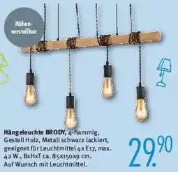 Trends Möbel Hängeleuchte BRODY Angebot