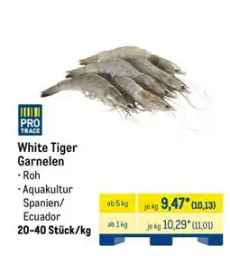 METRO White Tiger Garnelen Angebot