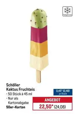 METRO Schöller Kaktus Fruchteis Angebot