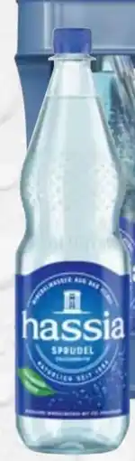 trinkgut Hassia Mineralwasser Angebot