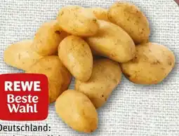 nahkauf Rewe Beste Wahl Speisekartoffeln Angebot