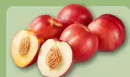 REWE Center Nektarinen Angebot
