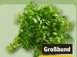REWE Center Glatte Petersilie Angebot