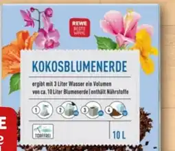 REWE Center Rewe Beste Wahl Kokosblumenerde Angebot