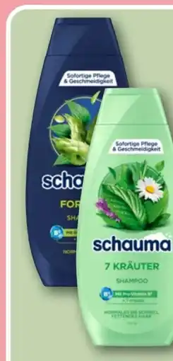 REWE Center Schwarzkopf Schauma Shampoo Angebot