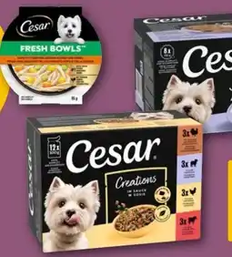 REWE Center Cesar Creations in Sauce Angebot