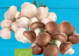 E-Center Bio-Champignons Angebot