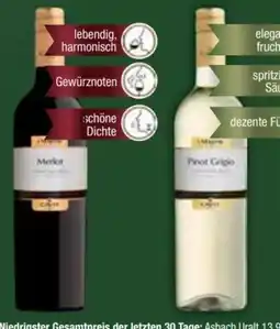 E-Center Cavit Pinot Grigio Angebot