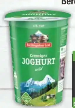 E-Center Berchtesgadener Land Joghurt Angebot