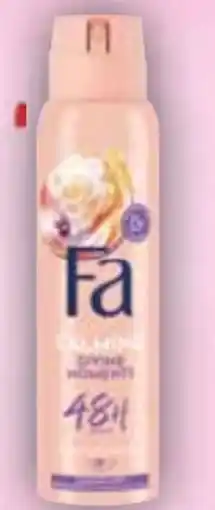 E-Center Fa Deospray Angebot