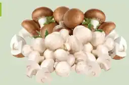 Edeka Xpress Bio-Champignons Angebot