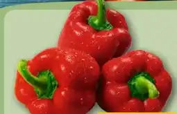 REWE Center Rote Paprika Angebot
