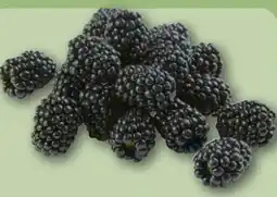 REWE Center Brombeeren Angebot