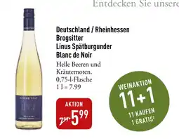 Galeria Markthalle Brogsitter Linus Spätburgunder Blanc de Noir Angebot