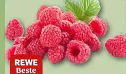 REWE Center Rewe Beste Wahl Frische Himbeeren Angebot