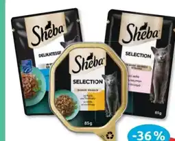 Budni Sheba Katzennahrung Angebot