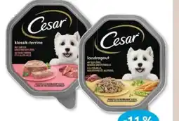 Budni Cesar Hundenahrung Angebot