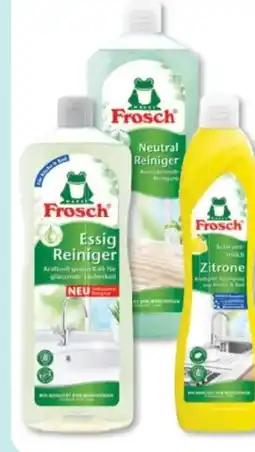 Budni Frosch Scheuermilch Angebot