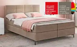 porta Quartier Möbel BOXSPRINGBETT MISTER Angebot