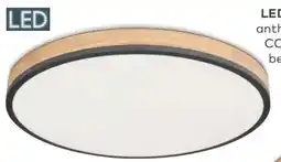 porta Globo LED-Deckenleuchte Doro Angebot