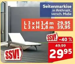 CENTERSHOP Seitenmarkise in Anthrazit Angebot