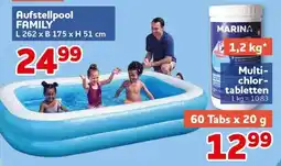 CENTERSHOP Aufstellpool FAMILY Angebot
