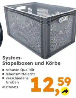 Globus Baumarkt System-Stapelboxen und Körbe Angebot