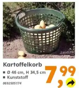Globus Baumarkt Kartoffelkorb Angebot