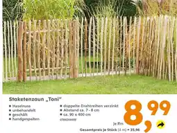Globus Baumarkt Staketenzaun "Toni" Angebot