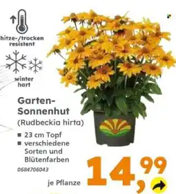 Globus Baumarkt Garten-Sonnenhut (Rudbeckia hirta) Angebot