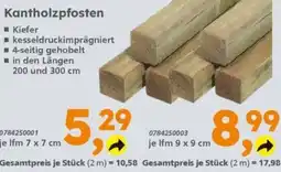 Globus Baumarkt Kanholzpfosten Kiefer Angebot