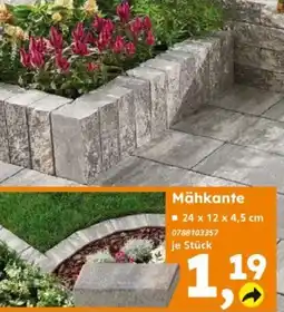 Globus Baumarkt Mähkante Angebot
