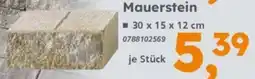 Globus Baumarkt Mauerstein Angebot