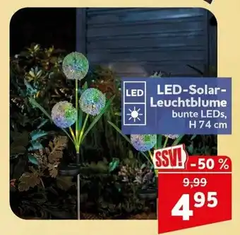 CENTERSHOP LED-Solar-Leuchtblume Angebot