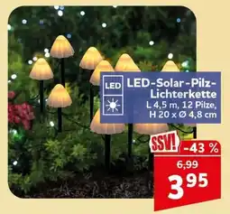 CENTERSHOP LED-Solar-Pilz-Lichterkette Angebot