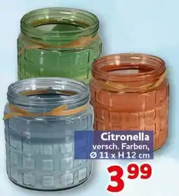 CENTERSHOP Citronella Angebot